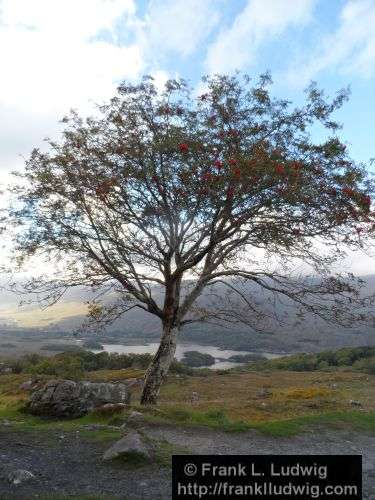 Ring of Kerry